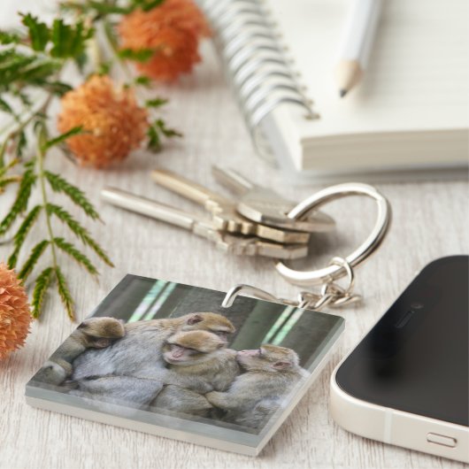 かわいいエイプファミリーグループハグ写真 キーホルダー (正面右)