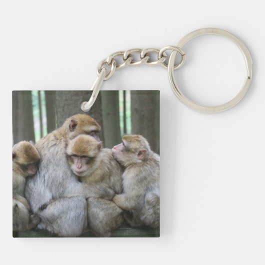 かわいいエイプファミリーグループハグ写真 キーホルダー (裏面)