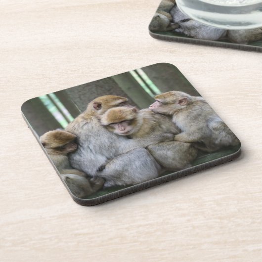 かわいいエイプファミリーグループハグ写真 コースター (左側)