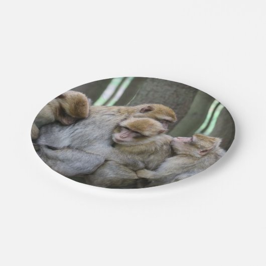 かわいいエイプファミリーグループハグ写真 ペーパープレート (アングル)