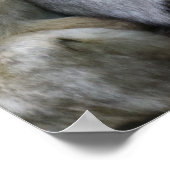 かわいいエイプファミリーグループハグ写真 ポスター (角)