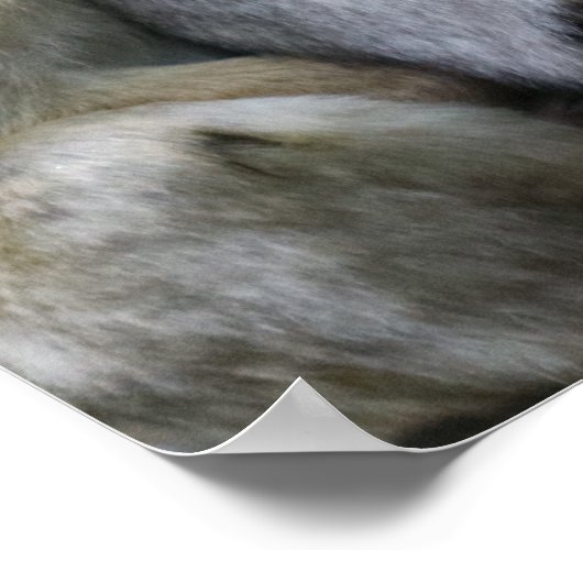 かわいいエイプファミリーグループハグ写真 ポスター (角)