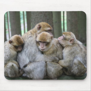 かわいいエイプファミリーグループハグ写真 マウスパッド