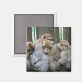 かわいいエイプファミリーグループハグ写真 マグネット (正面/裏面)