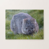 かわいいエキゾチックなウォンバット動物の野生動物， 252個 ジグソーパズル (横)