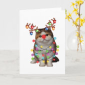 かわいいエキゾチック猫おもしろいクリスマスホリデーギフト カード (黄色い花)