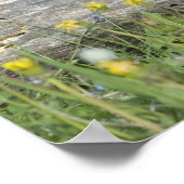 かわいいオオカミの子ども連れのポスター ポスター (角)