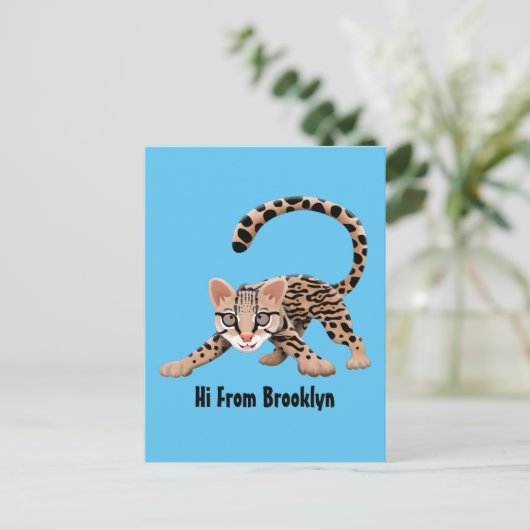 かわいいオセロアニメイラストレーション ポストカード (スタンド正面)