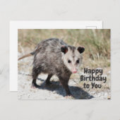かわいいオポッサムお誕生日おめでとう ポストカード (正面/裏面)