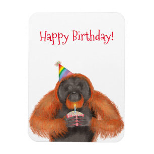 かわいいオランウータン誕生日マグネット マグネット