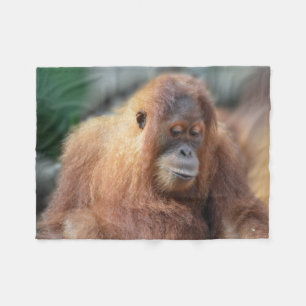 かわいいオランウータン フリースブランケット