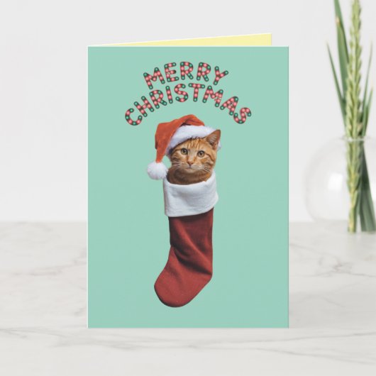 かわいいオレンジの猫のクリスマス カード (正面)