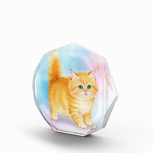 かわいいオレンジタビー猫 フォトブロック (右)
