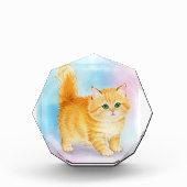 かわいいオレンジタビー猫 フォトブロック (正面)