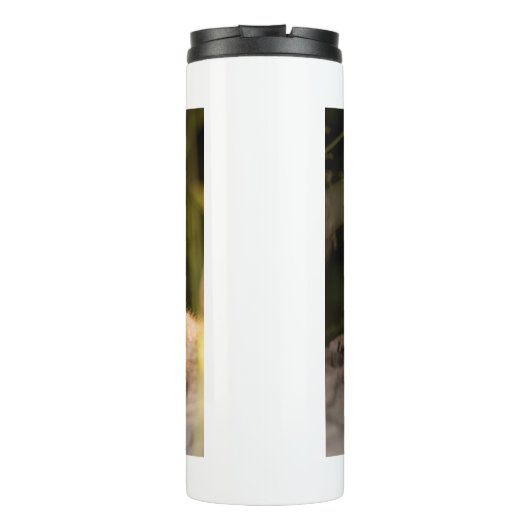 かわいいオレンジ色のキツネステンレス鋼の写真 タンブラー (裏面)