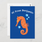 かわいいオレンジ色のシーホースの泡の漫画イラストレーション ポストカード (正面/裏面)