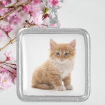 かわいいオレンジ色の子猫の写真 シルバープレートネックレス<br><div class="desc">甘いオレンジ色の子猫の写真を使った可愛らしいカスタムネックレスで、毛皮の友人への愛を見せよう。マッチのチェーンを持つ光沢のあるシルバートーンのフレームをセット魅力的に、この作品は猫好き、ペットのママ、またはかわいい可愛い仲間を崇拝する人のためのパーフェクトな贈り物を作る。日擦り切れた々のアクセサリーでも記念品としても、温パーソナライズされた度と個性を生み出し、どんな服装にもしゃれている少し猫を生み出す。</div>