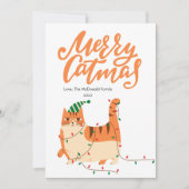 かわいいオレンジ色の猫のペットラバークリスマス フラットカード シーズンカード (正面)