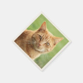 かわいいオレンジ色の猫ポートレート スタンダードカクテルナプキン (角)