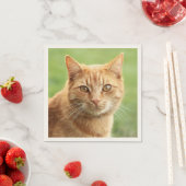 かわいいオレンジ色の猫ポートレート スタンダードカクテルナプキン (インサイチュ)