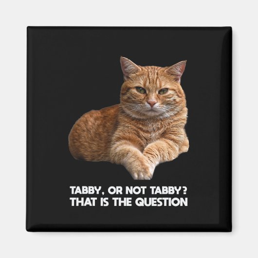 かわいいオレンジ色の猫 マグネット (正面)