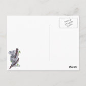 かわいいオーストラリアのコアラの郵便はがき ポストカード (裏面)