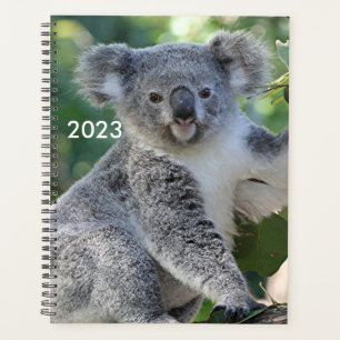 かわいいオーストラリアのコアラプランナー2023 プランナー手帳
