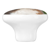 かわいいオーストラリアの羊飼いの子犬、ポートレート セラミックノブ (側面)