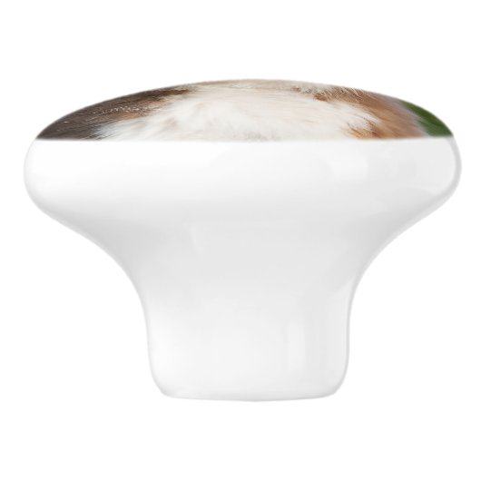 かわいいオーストラリアの羊飼いの子犬、ポートレート セラミックノブ (側面)