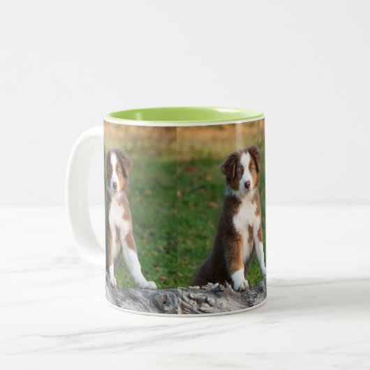 かわいいオーストラリアの羊飼い犬の子犬の写真のポートレート ツートーンマグカップ (正面左)
