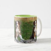 かわいいオーストラリアの羊飼い犬の子犬の写真のポートレート ツートーンマグカップ (正面右)