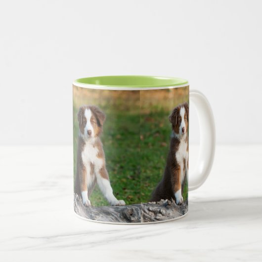 かわいいオーストラリアの羊飼い犬の子犬の写真のポートレート ツートーンマグカップ (正面右)