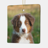 かわいいオーストラリアの羊飼い犬の子犬の写真ポートレート セラミックオーナメント (左)