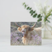 かわいいカウクローズアップDIYポストカード ポストカード (スタンド正面)