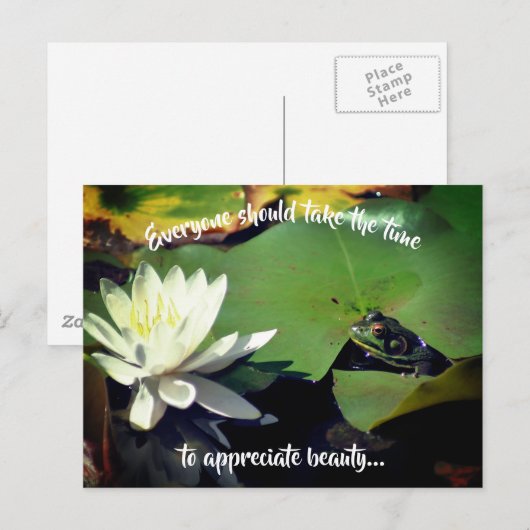 かわいいカエルと美しい睡蓮の花にインスパイアされたデザイン ポストカード (正面/裏面)