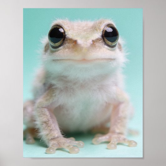 かわいいカエル赤ちゃんの肖像 - 池のヌースリーの壁画 ポスター (正面)