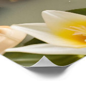 かわいいカエル、おもしろいバスルームのアート、ギフトアイディア ポスター (角)