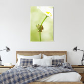 かわいいカエル キャンバスプリント (インサイチュ (寝室))