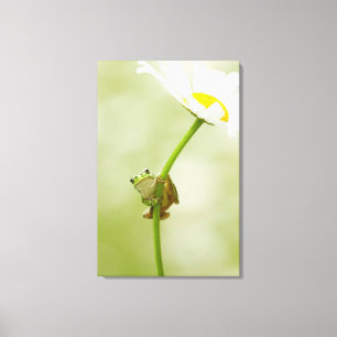 かわいいカエル キャンバスプリント