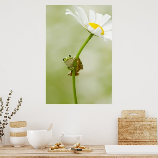 かわいいカエル ポスター (キッチン)