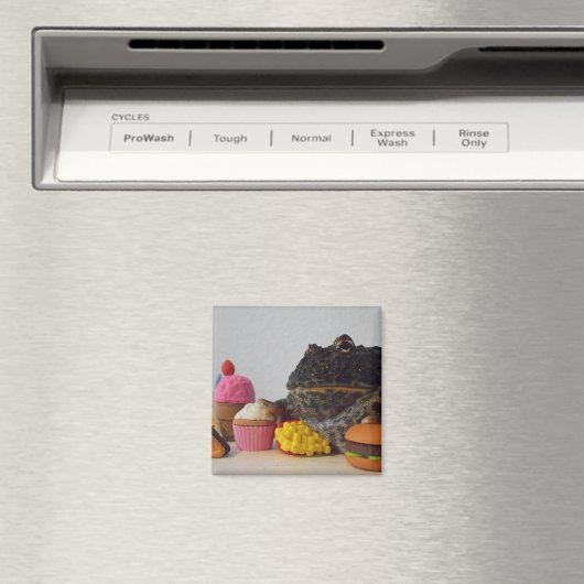 かわいいカエル マグネット (インサイチュ (食洗機))