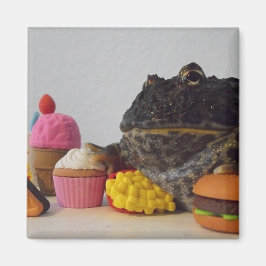 かわいいカエル マグネット