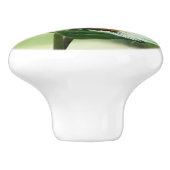 かわいいカエルonリリー美しいグリーン自然 セラミックノブ (側面)