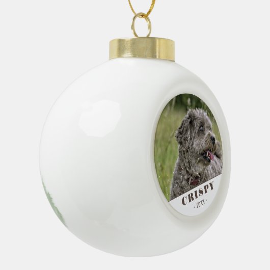 かわいいカスタムのペットドッグの写パーソナライズされた真 セラミックボールオーナメント (左)