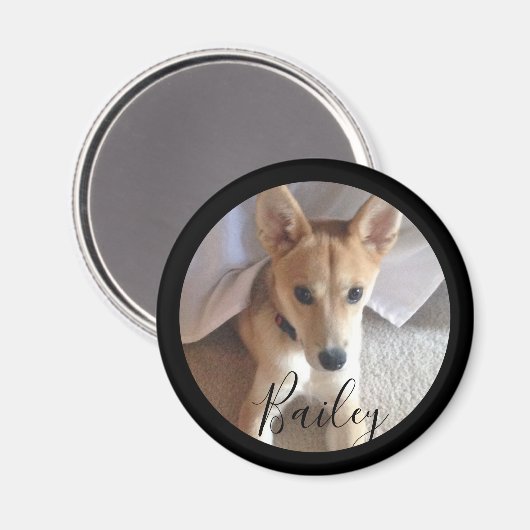 かわいいカスタム犬ペットの写真名 マグネット (正面/裏面)