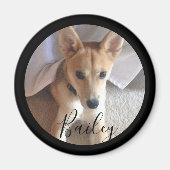かわいいカスタム犬ペットの写真名 マグネット (正面)