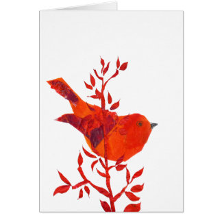 かわいいカッタと地球上で最も可愛い赤い鳥