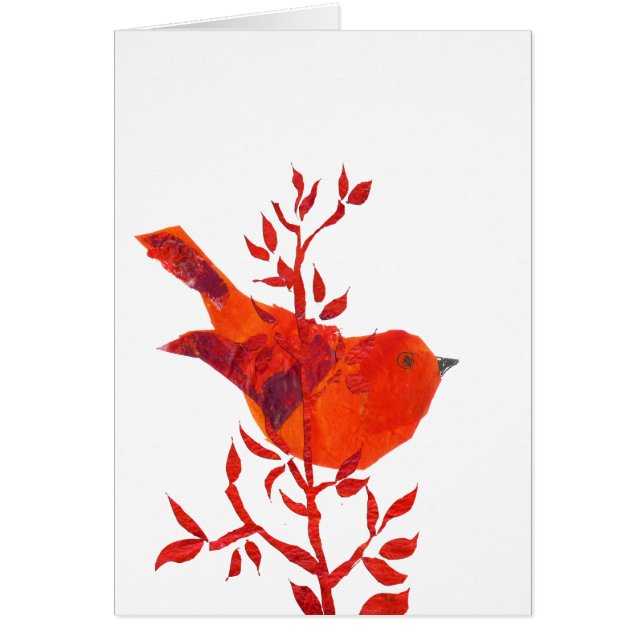 かわいいカッタと地球上で最も可愛い赤い鳥 (正面)