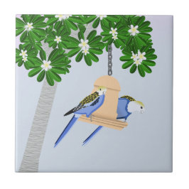 かわいいカップルよくはしゃぐパロッツロセラス タイル