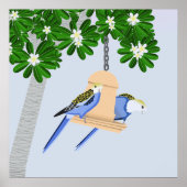 かわいいカップルよくはしゃぐパロッツロセラス ポスター (正面)